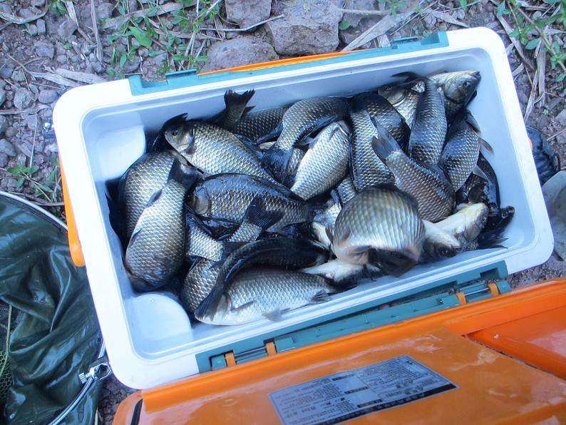 彩虹集團(tuán)組織釣魚競賽活動(dòng)