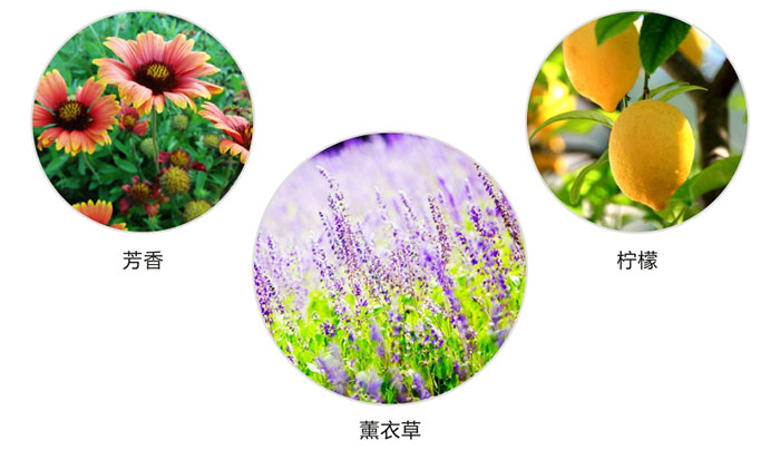 彩虹防蛀片有芳香，檸檬，薰衣草三種香型
