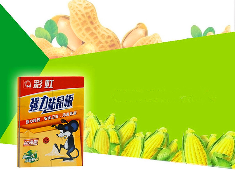 彩虹粘鼠板采用含有花生香精配方誘餌的專業(yè)粘著劑，強(qiáng)力粘膠