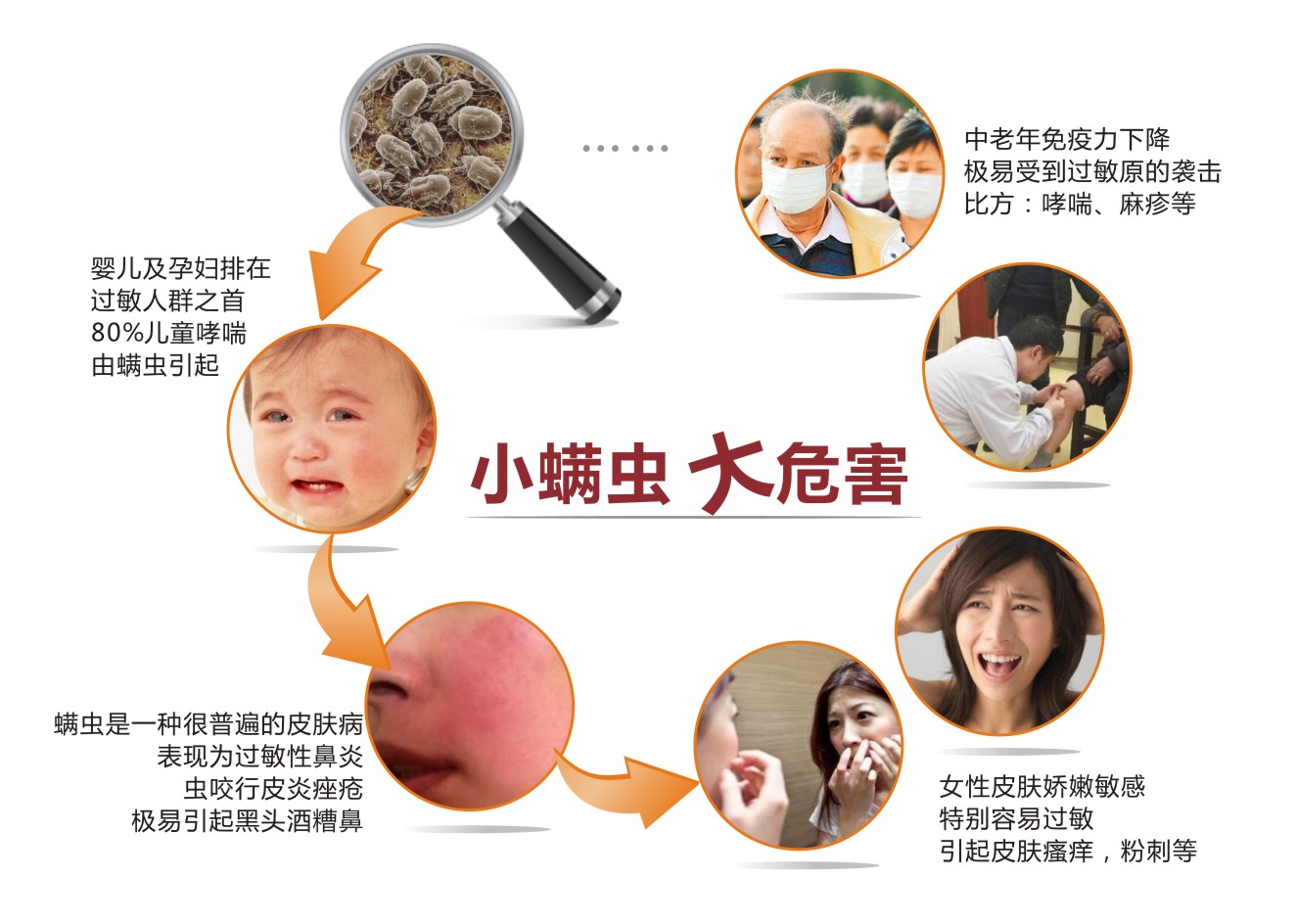 小螨蟲大危害