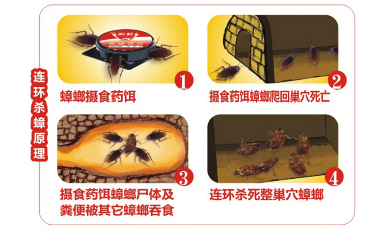 彩虹殺蟑餌劑采用含誘蟑因子的殺蟑配方，特殊餌盒設計。餌劑固定在藥劑內(nèi)，僅留蟑螂通過的縫隙，可防止兒童或寵物觸食。