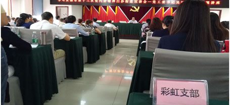 成都彩虹集團(tuán)日化黨支部學(xué)習(xí)成都市第十三次黨代會(huì)精神