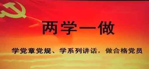 在行動中找差距——“兩學(xué)一做”學(xué)心得