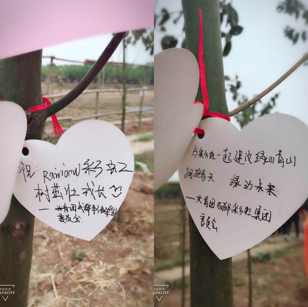 共青團成都彩虹集團團委及團員青年代表參加高新區(qū)植樹節(jié)志愿服務(wù)活動