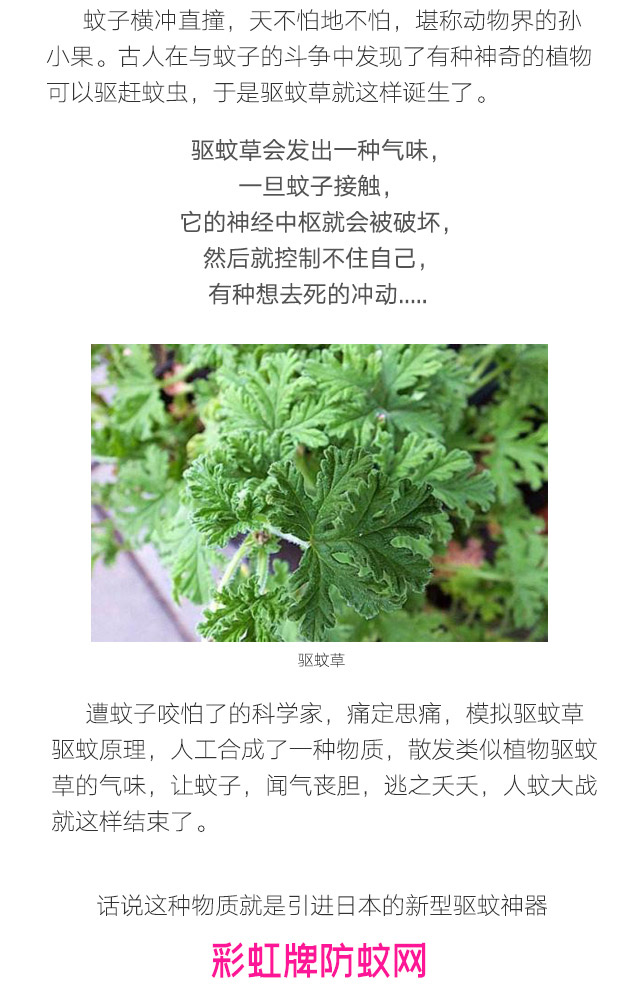 隱形蚊帳——彩虹防蚊網(wǎng)
