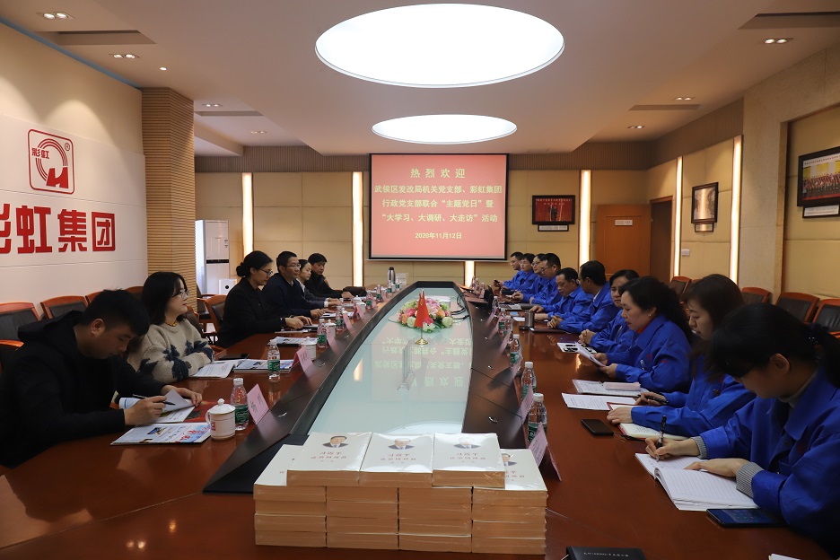 武侯區(qū)發(fā)改局機(jī)關(guān)黨支部、彩虹集團(tuán)行政黨支部開展“主題黨日”暨“大學(xué)習(xí)、大調(diào)研、大走訪”活動