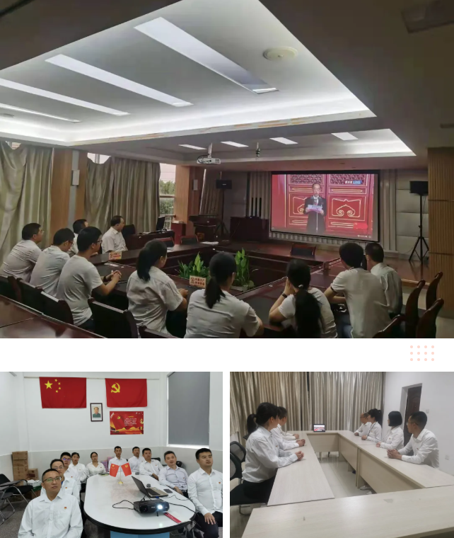 彩虹集團(tuán)各黨支部在分會場收看慶祝中國共產(chǎn)黨成立100周年大會